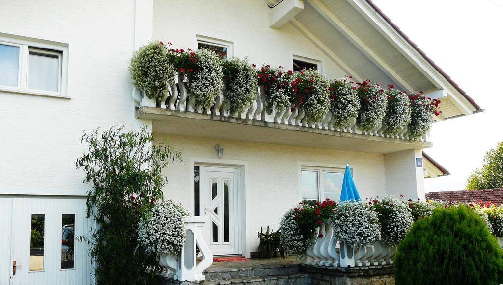Ranch Terra Hotel Irinovac ภายนอก รูปภาพ