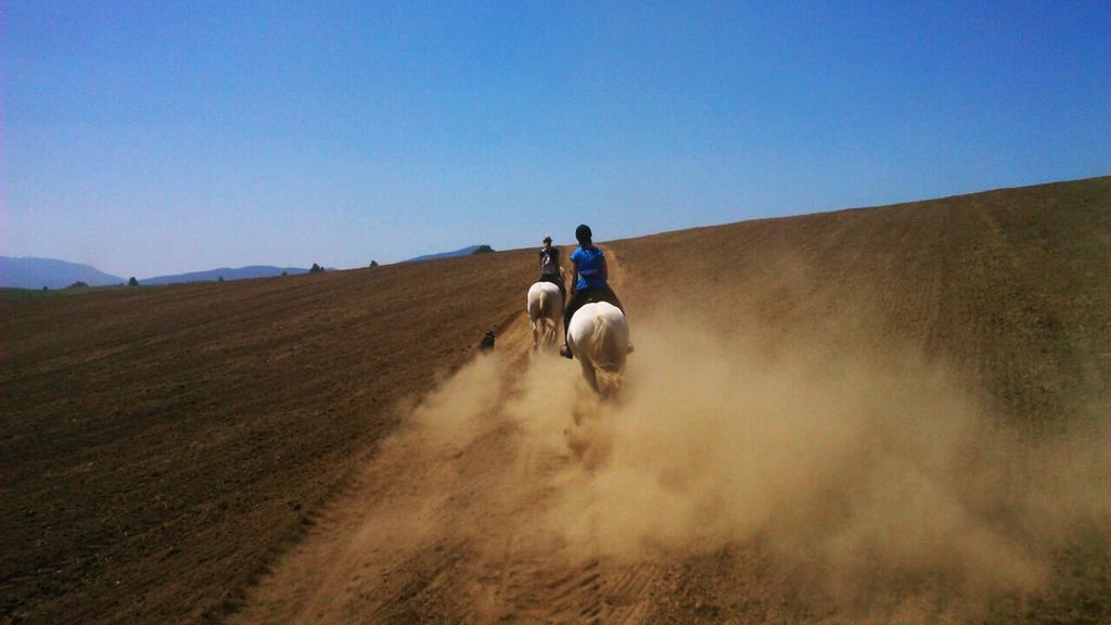 Ranch Terra Hotel Irinovac ภายนอก รูปภาพ