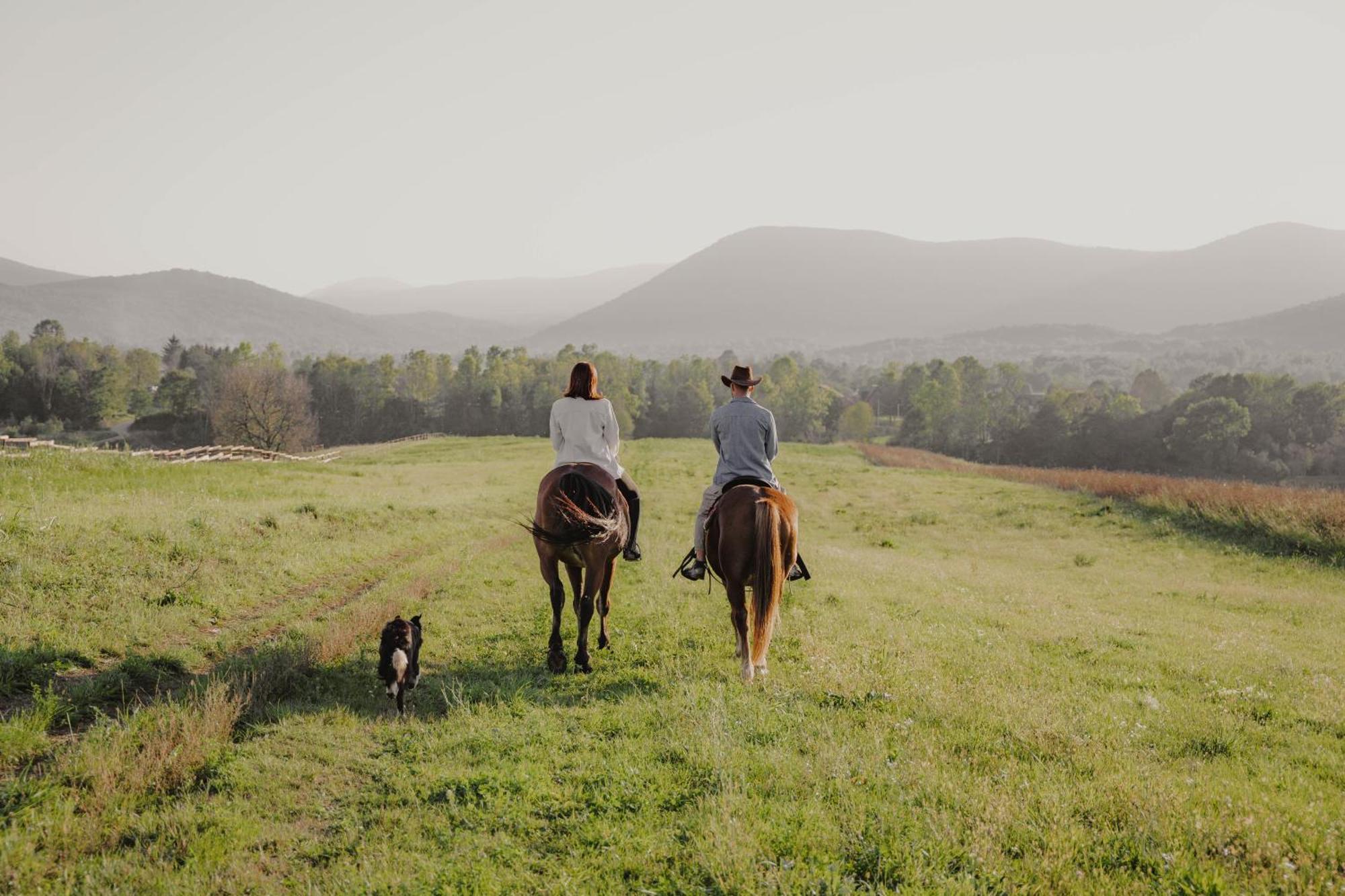 Ranch Terra Hotel Irinovac ภายนอก รูปภาพ
