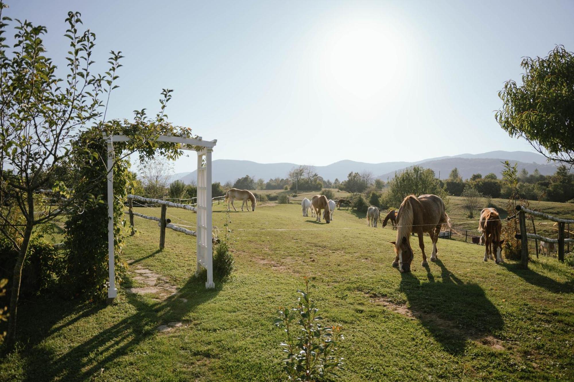Ranch Terra Hotel Irinovac ภายนอก รูปภาพ