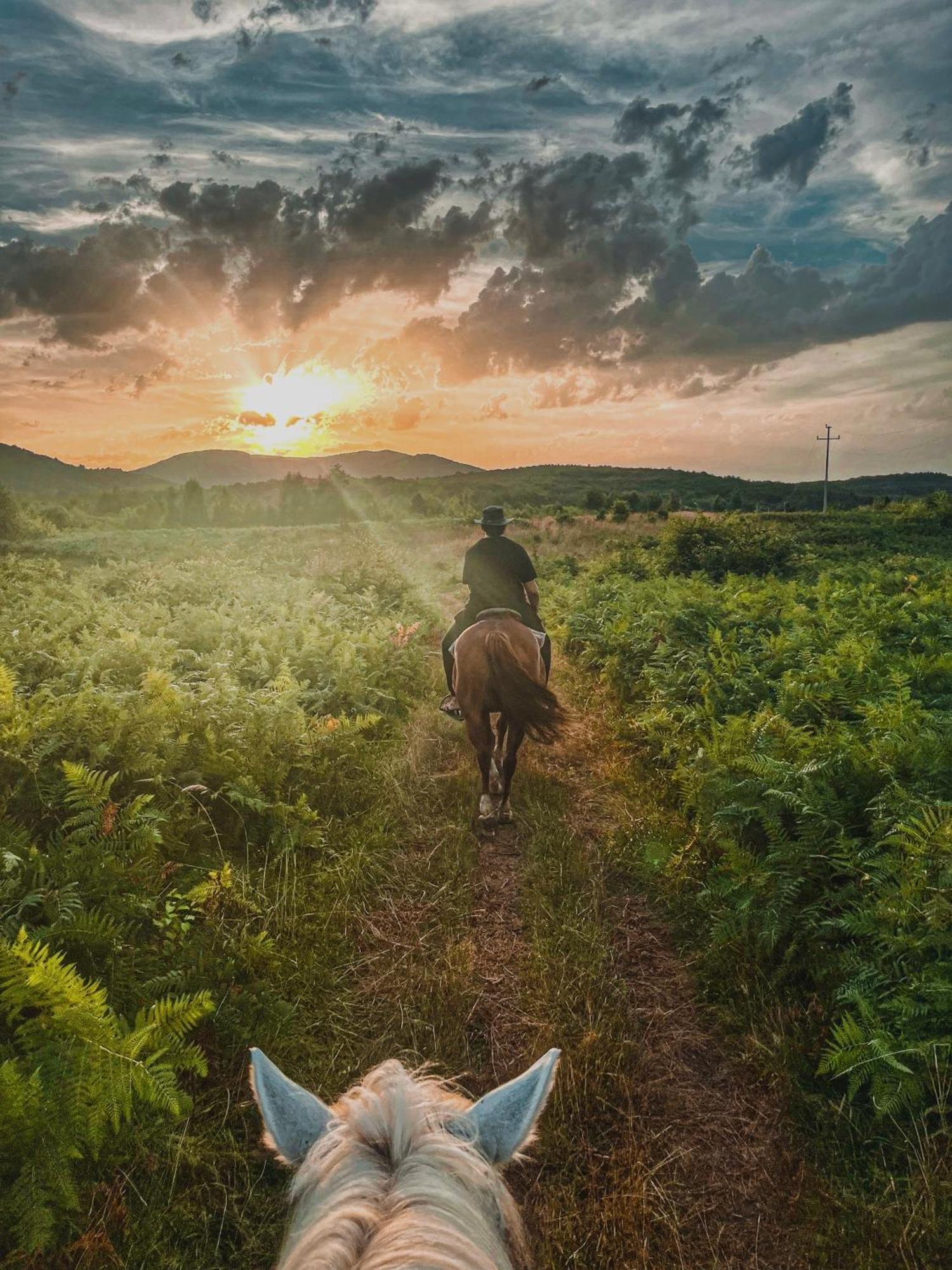 Ranch Terra Hotel Irinovac ภายนอก รูปภาพ