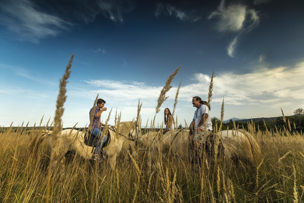 Ranch Terra Hotel Irinovac ภายนอก รูปภาพ