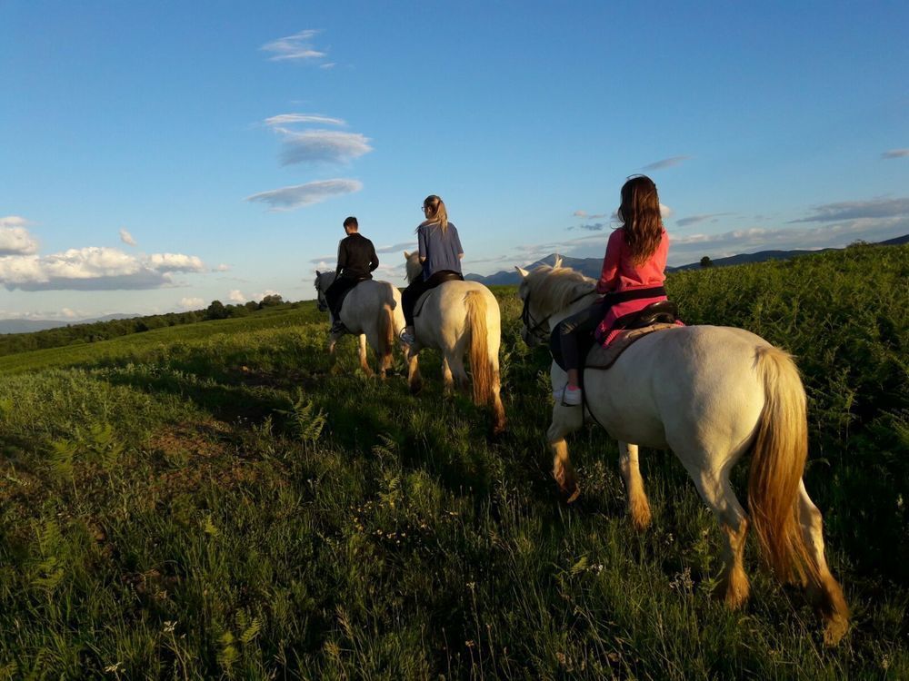 Ranch Terra Hotel Irinovac ภายนอก รูปภาพ