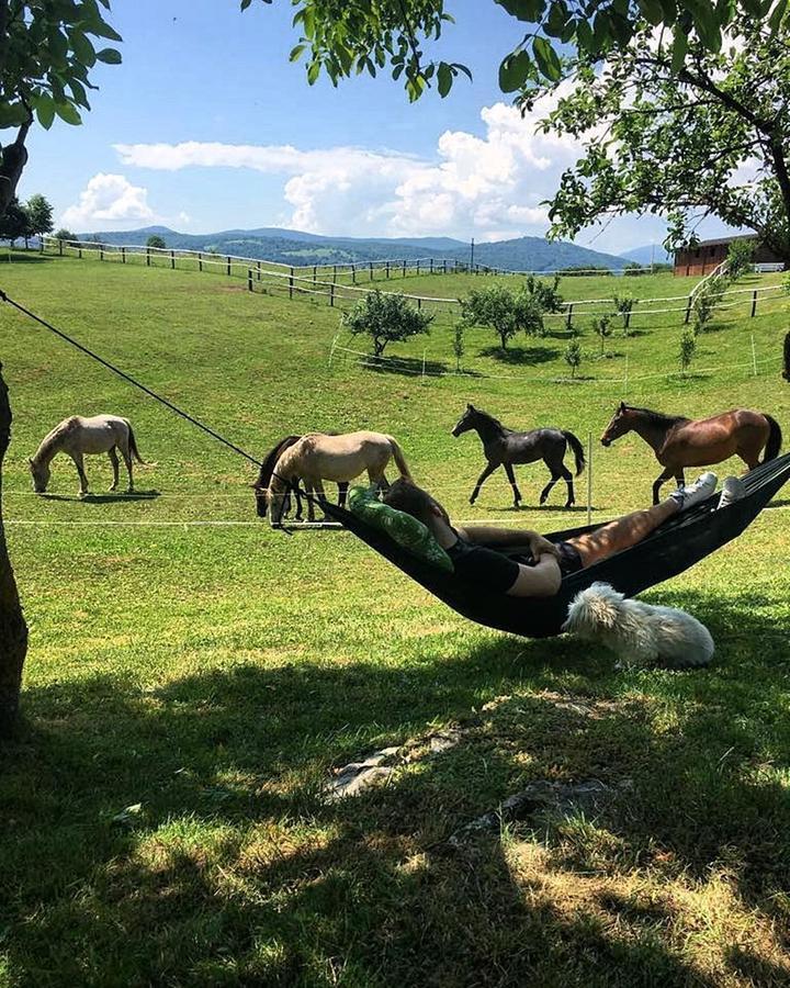 Ranch Terra Hotel Irinovac ภายนอก รูปภาพ