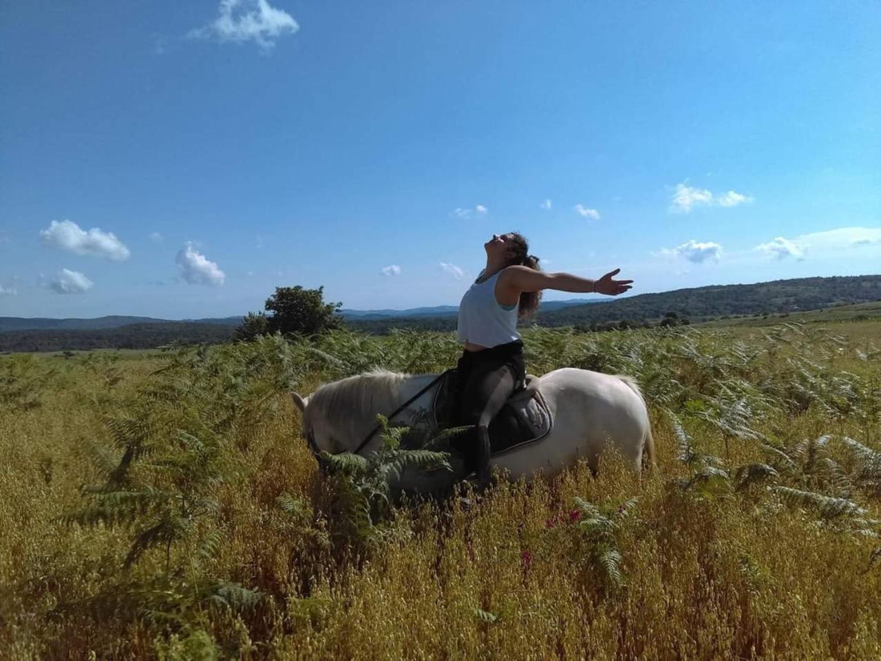 Ranch Terra Hotel Irinovac ภายนอก รูปภาพ