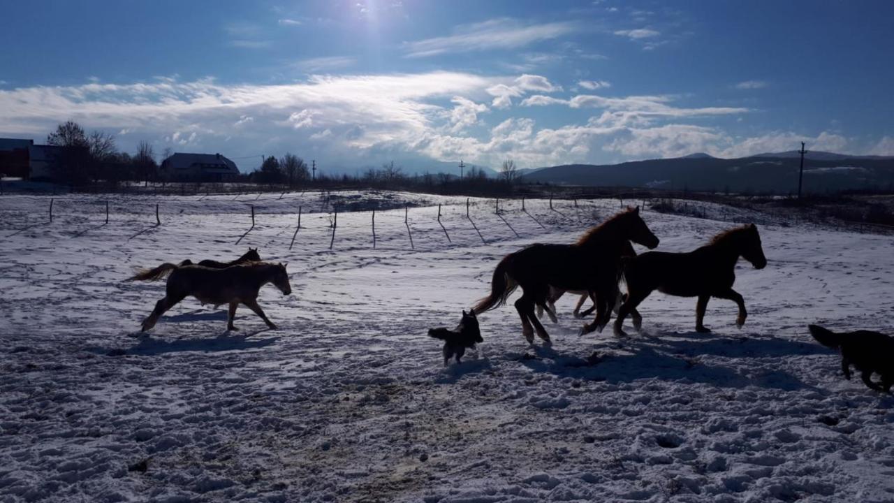 Ranch Terra Hotel Irinovac ภายนอก รูปภาพ